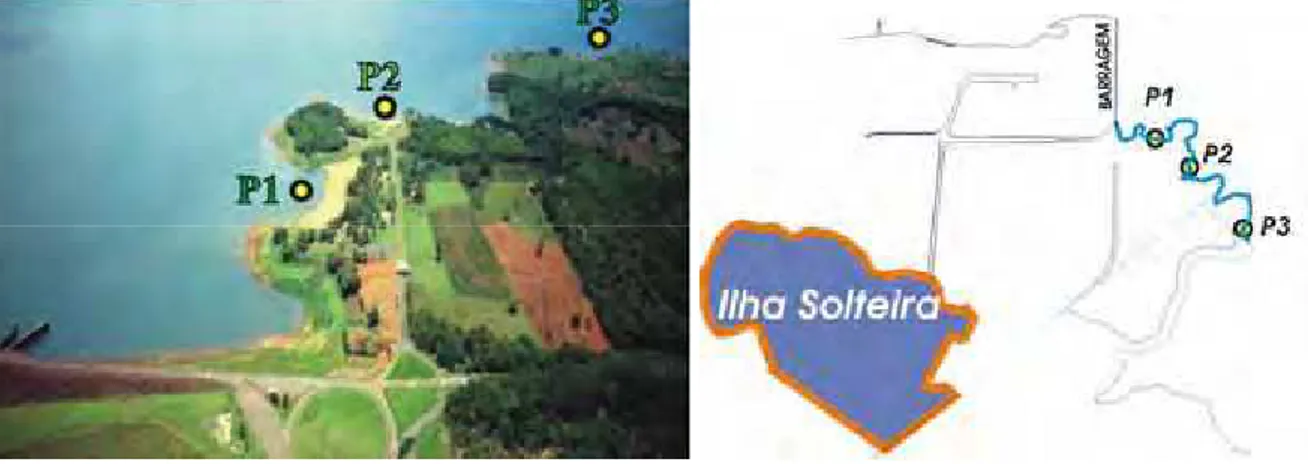 Figura 5:Vista aérea das praias, com a localização dos pontos de coleta no reservatório de Ilha Solteira