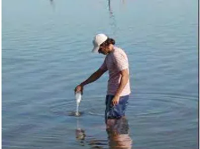 Figura 11:Amostragem de água nas praias do reservatório de Ilha Solteira. 