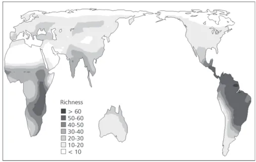 Fig. 1 — World map illustrating spatial patterns of diversity of all Falconiformes.
