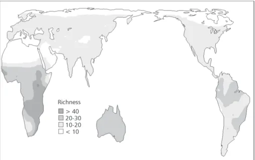 Fig. 2 — World map illustrating spatial patterns of diversity of endemic Falconiformes for each considered domain.