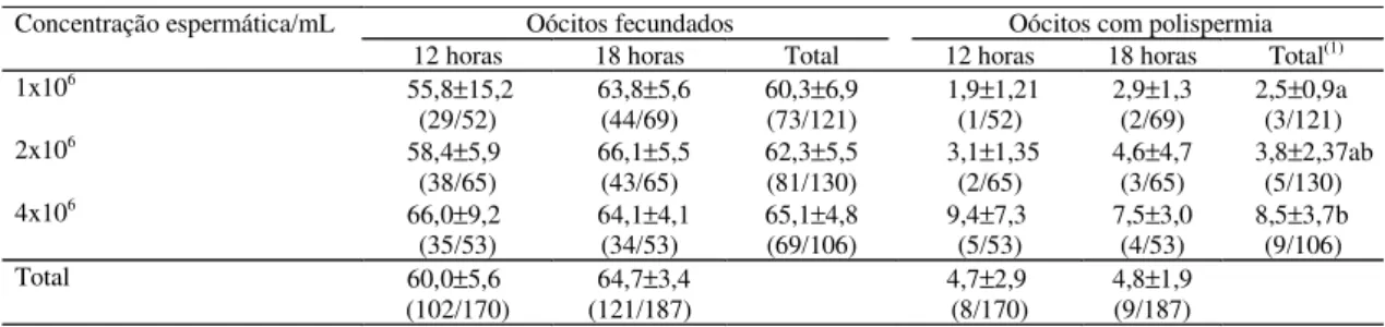 Tabela 1.  Efeito  da  concentração  espermática  sobre  a  fecundação  (%  ± erro médio padrão) in vitro,  realizada  em períodos de 12 e 18 horas de incubação oócito-espermatozóides, utilizando-se sêmen de touros da raça Gir.