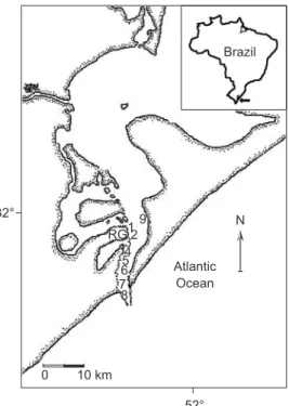 Fig. 1 — Map of the study area showing the sampling stations (numbers 1 to 9) in the channel of the Rio Grande harbor, Patos  Lagoon estuarine region