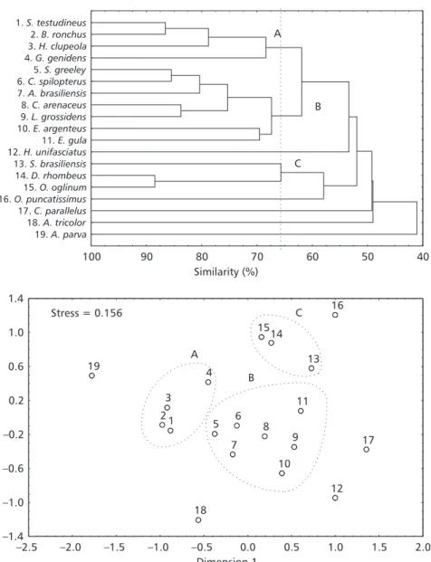 Fig. 5  Dendrogram and MDS ordination plot showing the similarities among the most abundant taxa based on their occur- occur-rence throughout the twelve months of sampling in the Baguaçu tidal creek