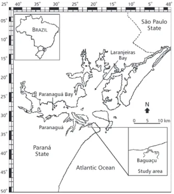 Fig. 1  Map of Paraná coast, showing the sampling point in the Baguaçu tidal creek.