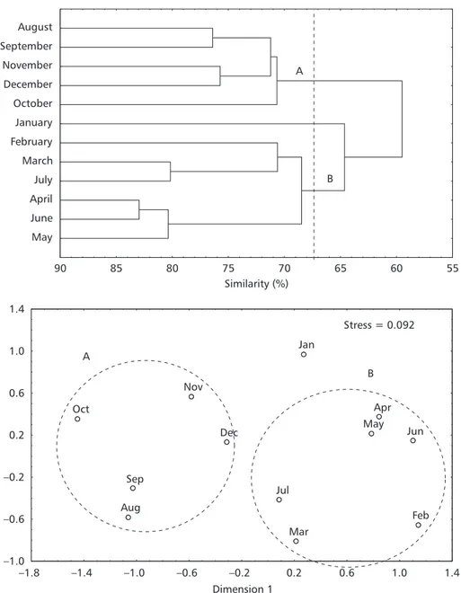 Fig. 4  Dendrogram and MDS ordination plot based on the abundance of the main 23 taxa sampled monthly in the Baguaçu tidal creek