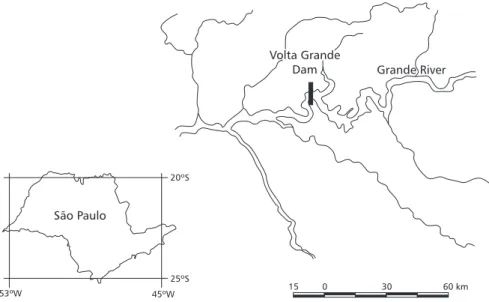 Fig. 1 — Map showing the sampling site, below the Volta Grande dam. In the detail one can see the location of the dam in the Grande river and the location of the area in the São Paulo/Minas Gerais border.