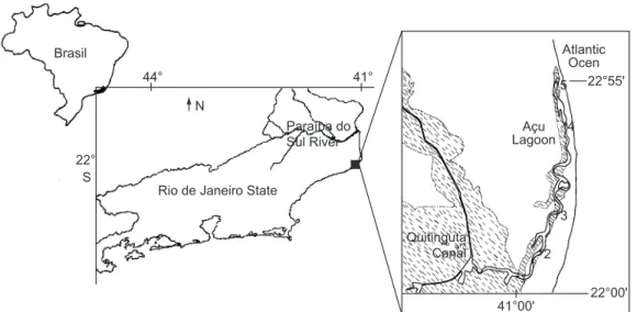 Fig. 1 — Study area (Açu Lagoon) and location of sampling stations (1-5).
