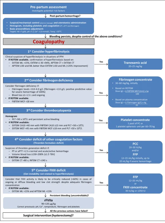 Figure 3. Proposed algorithm for the management of postpartum hemorrhage. aPTT indicates activated partial thromboplastin time; CA10, clot amplitude after 10 minutes; CFT, clot formation time; CT, clotting time; FFP, fresh frozen plasma; Hb, hemoglobin; Hc