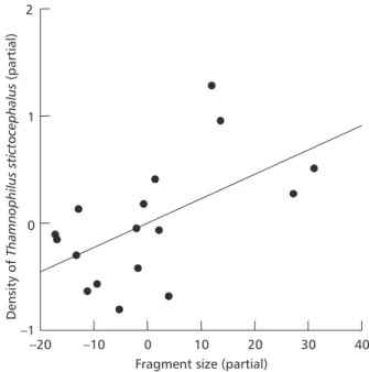 Fig. 1 — Partial fragment size X partial density of Thamnophilus stictocephalus in Alter-do-Chão.