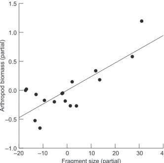 Fig. 2 — Partial fragment size X partial arthropod biomass in Alter-do-Chão.