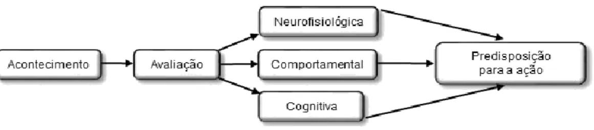 Figura 4- Conceito de Emoção, segundo Bisquerra (2003) 