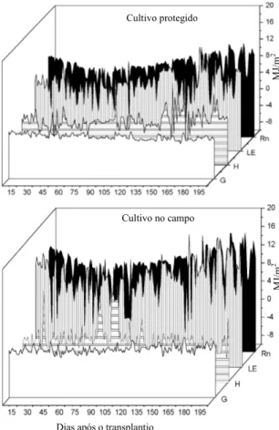 Figura 2. Variação da radiação líquida (Rn), fluxo de calor latente (LE), fluxo de calor sensível (H) e fluxo de calor no solo (G), em cultivo protegido e de campo, durante 195 dias após o transplantio da cultura do pimentão.