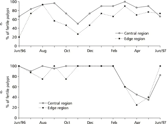 Fig. 7 — Variation in percentage of fertile polyps in all colonies for Palythoa caribaeorum (a) (n = 776) and Protopalythoa variabilis (b) (n = 449) from 7 June 1996 to 17 June 1997.