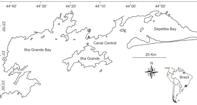 Fig. 1 — Map of study area. A) Petrobras oil terminal; B) Verolme shipyard; and C) Ilha Guaiba Port.