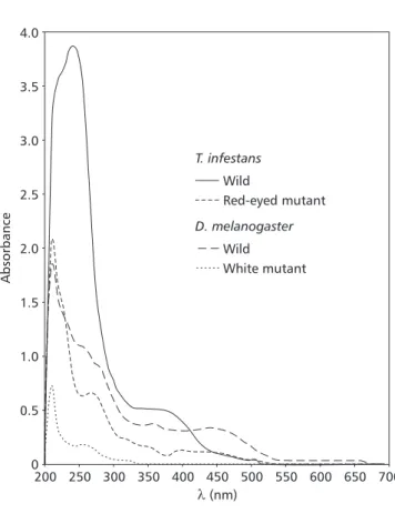 Fig. 1 — Spectral absorption profiles of pigments extracted from T. infestans and D. melanogaster eyes