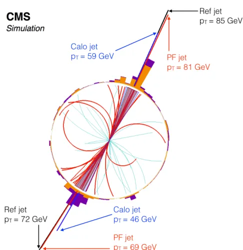 Figure 9: Jet reconstruction in a simulated dijet event. The particles clustered in the two PF jets are displayed with a thicker line