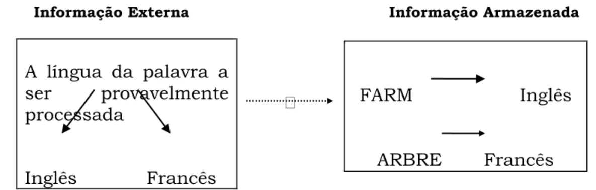 Figura  1.  4  -  Processamento  da  Informação  da  Língua  (Adaptado  de  Grainger e Dijkstra, 1992)
