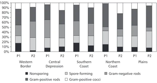 Fig. 3 — Relative occurrence of gram-positive, gram-negative, spore-forming, and non-spore forming bacteria found in phases P 1  and P 2  of five rice-growing areas in Brazil.