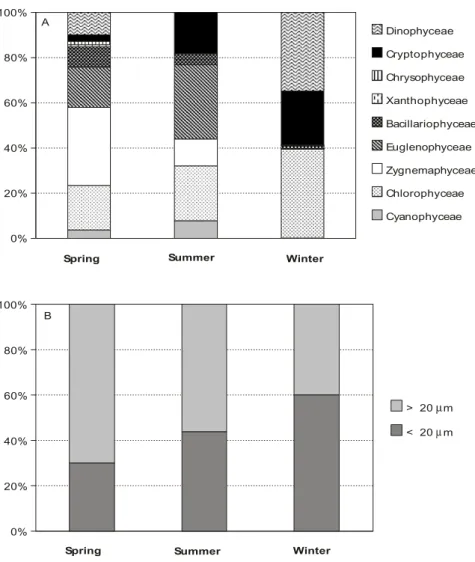 Fig. 1 — Composition (A) and size fraction (B) of phytoplankton in lake Monte Alegre in the three seasons studied