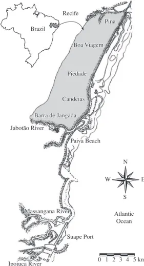 Figure 1.  Stretch of coastline along the State of Pernambuco with  indication of the area (in grey) situated between the Paiva and  Pina beaches, in front of which the longline and drumline fishing  operations were performed (Modified from Hazin et al., 2