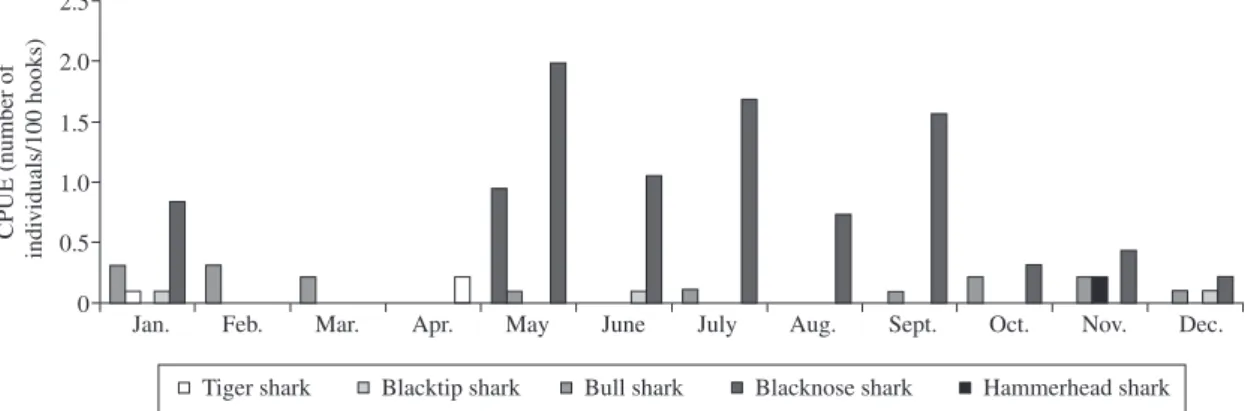Figure 2. Monthly catch per unit of effort (CPUE) of shark species captured by the Sinuelo research vessel along the coast  of Pernambuco.