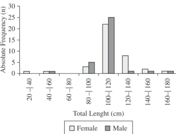 Table 2. General characteristics of maturation stages of female blacknose sharks caught by the Sinuelo research vessel off  the coast of Pernambuco.