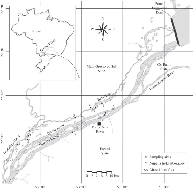 Figure 1. Sampling sites in the Upper Paraná River floodplain: Ivinheima subsystems (1- Ventura Lake, 2- Ipoitã Channel,  3- Patos Lake, 4- Ivinheima River); Baía subsystems (5- Curutuba Channel, 6- Guaraná Lake, 7- Baía River, 8- Fechada  Lake, 9- Pousada