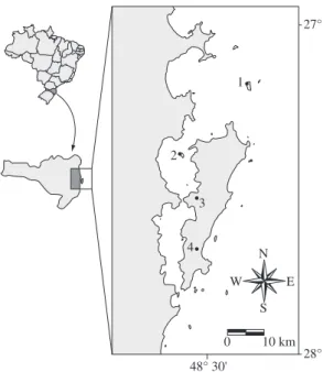 Figure  1.  1) Arvoredo  Island,  2)  Ratones  Grande  Island,  3) the peri-urban and 4) forest area on Santa Catarina Island  off the state of Santa Catarina coast, southern Brazil.