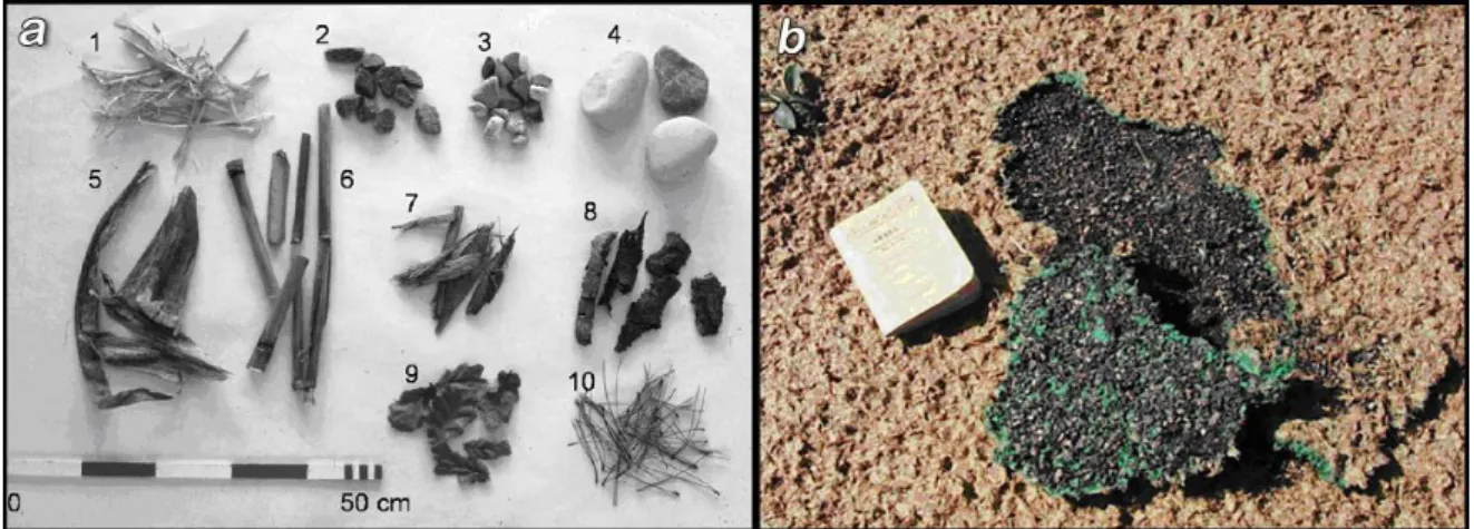 Figura 3: (a) tipos de “mulching’s” secos: 1 - palha; 2 - cascalho; 3 e 4 – pedras de rio;  