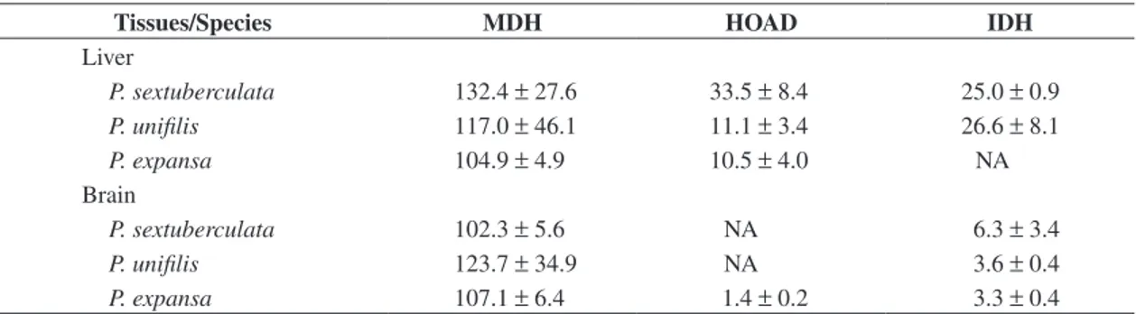 Table  2.  Enzyme activities of malate dehydrogenase (MDH), 3-hydroxyacyl Coenzyme-A dehydrogenase (HOAD), and  isocitrate dehydrogenase (IDH) in liver and brain of hatchlings of Amazonian freshwater turtles from Purus river.
