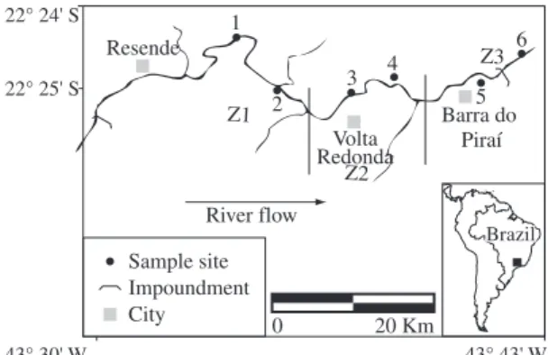 Figure 1. Study area, Paraíba do Sul River, with indications  of the three studied zones and the six sampling sites.