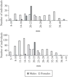 Figure  2.  Length-frequency  distribution  (in  mm)  for  P.   caudimaculatus  (above)  and P