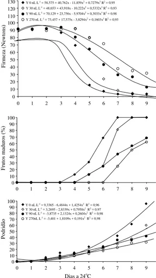 Figura 2. Firmeza de polpa, porcentagem de frutos ma- ma-duros e porcentagem de podridões em abacates Quintal