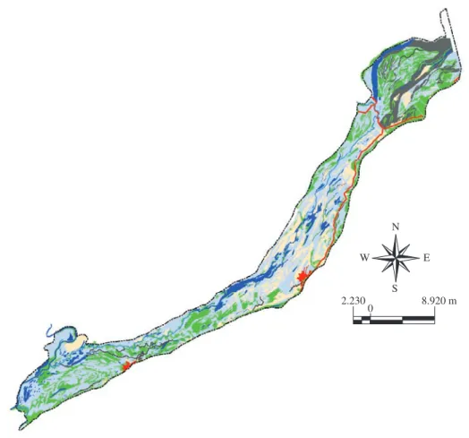 Figure 2. Geomorphologic features of the Paraná River floodplain, showing the water (blue), natural levee (green), swamp  (light blue)