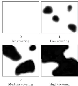 Figure 3. Visual estimate of substrate cover in each square.