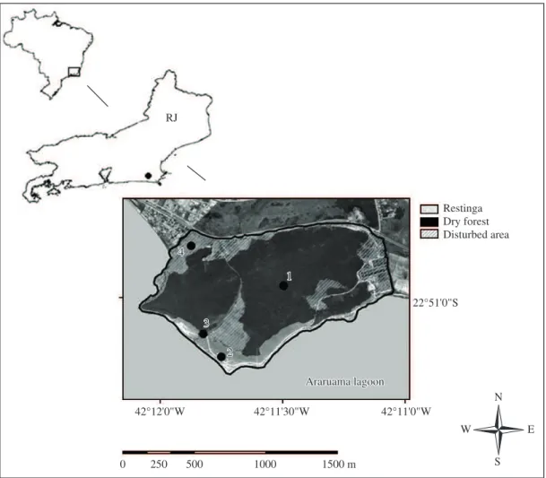 Figure 1. Location of the study area of Nucleo Experimental de Iguaba Grande, Iguaba Grande municipality, Rio de Janeiro  state, southeastern Brazil, and characterization of the three vegetation types in the NEIG: restinga, dry forest and disturbed  area
