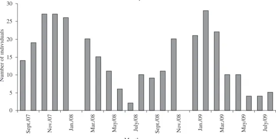 Figure 1. Number of individuals (Braconidae) as a function of months of study, collected in the area of secondary forest at  Sítio Ymyrá, Jacareí city, Brazil, from September 2007 to August 2009 using Malaise traps.