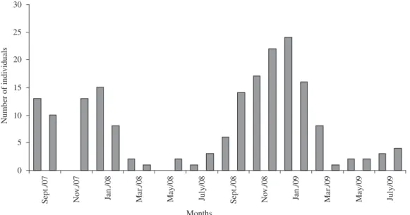 Figure 3. Number of individuals (Braconidae) as a function of months of study, collected in the restoration area at Sítio  Ymyrá, Jacareí city, Brazil, from September 2007 to August 2009 using Malaise traps.