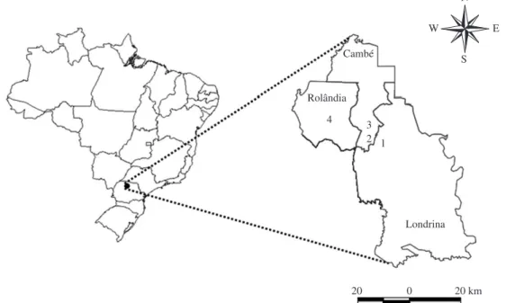 Figure 1. Location of forest fragments in northern Paraná (1. Sítio Cazado, 2. Horto Florestal of the State University of  Londrina, 3