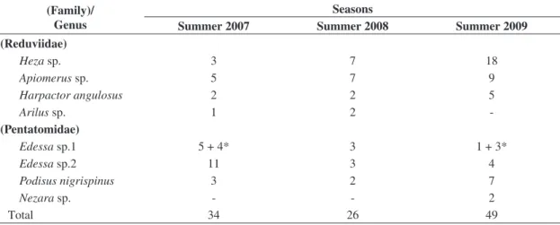 Table 1. Number of Heteroptera adults (and nymphs*) collected by sweeping vegetation in the summers of 2007, 2008 and  2009 in a secondary forest in Viçosa, Minas Gerais State, Brazil.