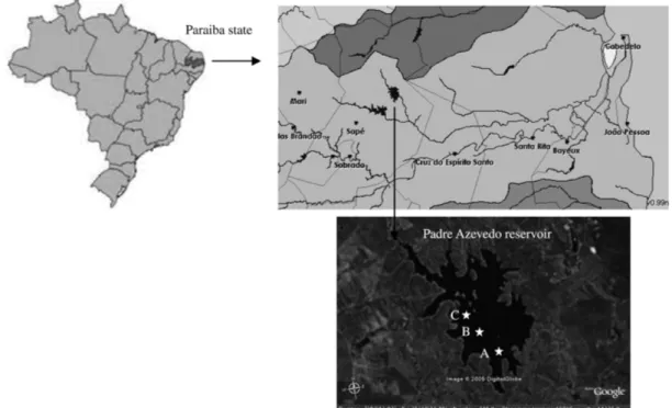 Figure 1 - Localization of reservoir Padre Azevedo at the Paraíba state (Brazil) and the sampling sites: A - pre-cultivation site;