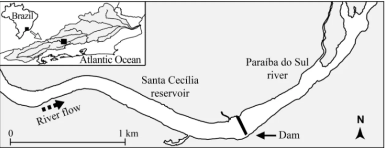 Figure 1 - Paraíba do Sul River Basin highlighting the studied area of Santa Cecília Dam.