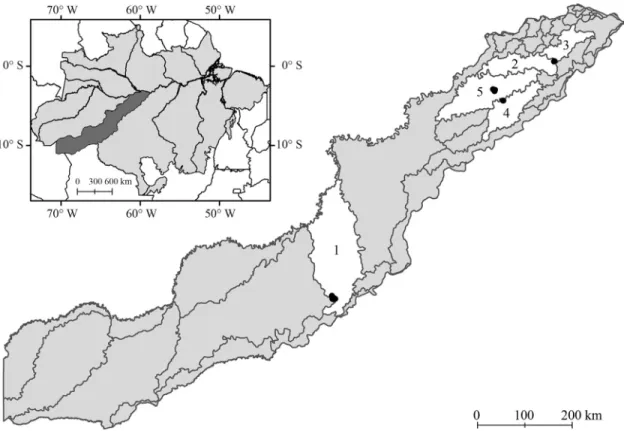 Figure 1 - Map of the basins and sampling site locations in the Madeira-Purus interfluve