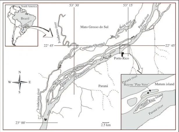 Figure 1. Location of the Pau Veio Backwater in the Upper Paraná River floodplain.