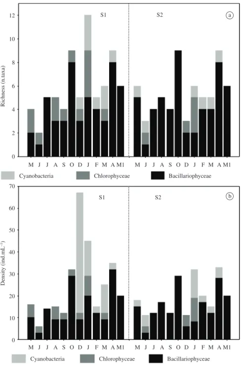 Figure 5. Monthly variation of phytoplankton richness (a) and density (b) of the Lower Iguaçu, at both sampling stations  (S1-station 1; S2-station 2), from May 2010 to May 2011 (M-May; J-June; J-July, A-August; S-September; O-October; 