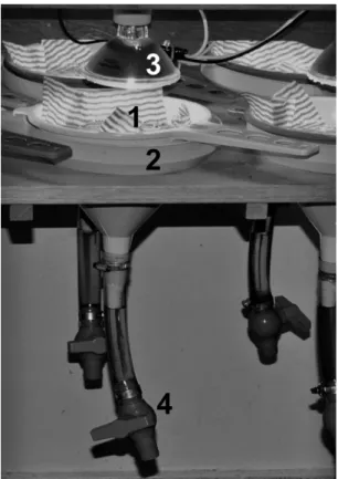 Figure 1. Wet extraction device with heating for  enchytraeids. The soil sample is placed in a plastic sieve  (15 cm diameter) lined with a porous flannel (1) which is  kept  submerged  in  mineral  water  fulfilling  the  funnel  of  19 cm diameter (2)
