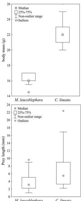 Figure 3. Comparison between the body mass of birds and  lengths of prey consumed by Myiothlypis  leucoblephara  and C