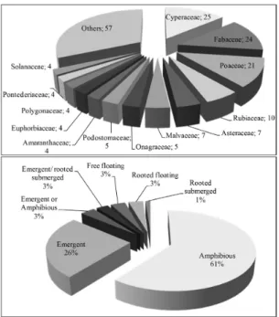 Table 1 shows the additional list of species of macrophytes  found in the lower basin of the Xingu River.