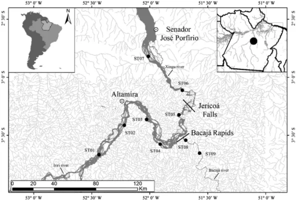 Figure 1. Sites visited during the present study for the collection of data on the local fish fauna of the middle Xingu River  between July, 2012, and April, 2013