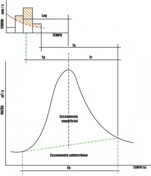 Figura 8  Hidrograma característico. 